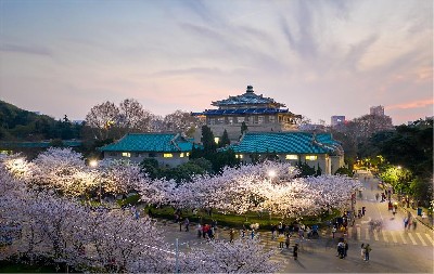 武漢大學（萬林藝術(shù)博物館）——鐵軍全新系列雄鷹02翼閘項目