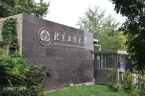 北京重點(diǎn)建設(shè)研究型大學(xué)——北京工商大學(xué)翼閘擺閘項(xiàng)目